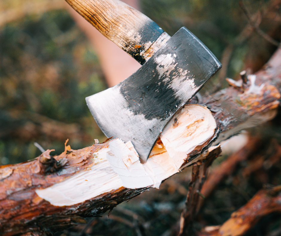 2 Abrigo Natural para o Apocalipse: Como Construir um Abrigo com Materiais Naturais